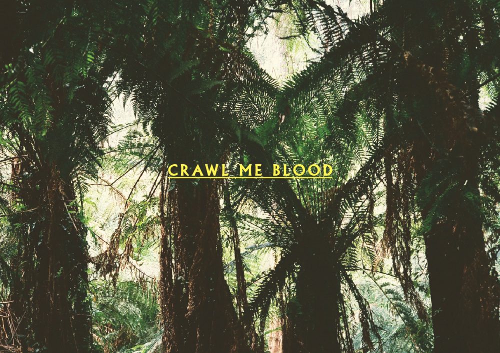 CRAWL ME BLOOD E-PROGRAM + INTERVIEWS