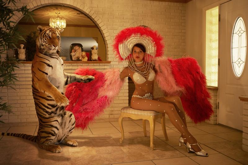 THE LADY AND THE TIGER