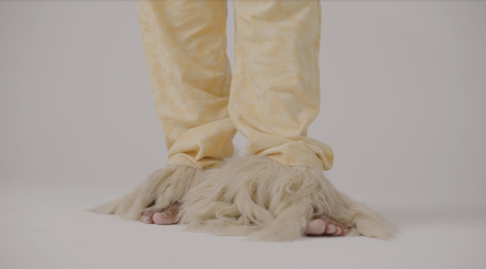 FAWN – THE MOURNING AFTER